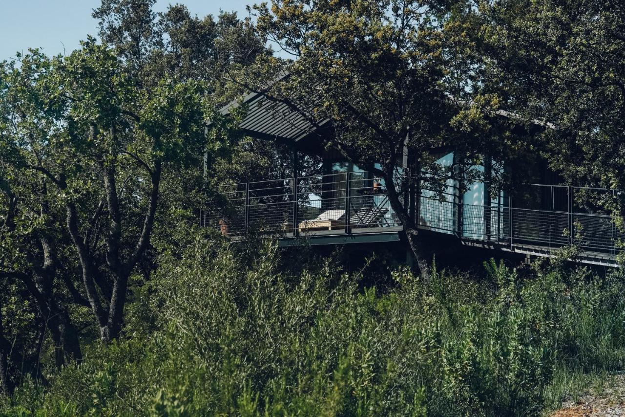 Domaine Monte Verdi Flayosc Eksteriør bilde