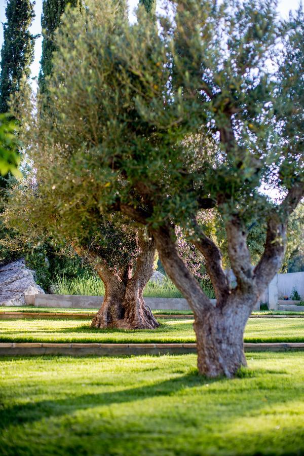 Domaine Monte Verdi Flayosc Eksteriør bilde
